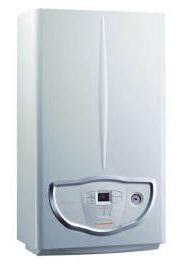 Газовый котел настенного типа Immergas Mini Nike X 24 3 E